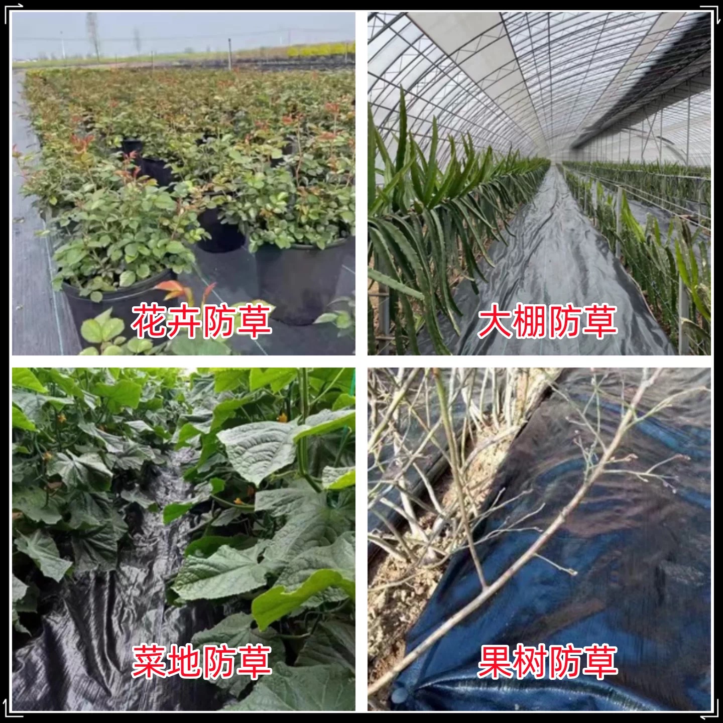 白银市农用薄膜防草布 - 推荐